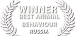 liquid motion best animal behaviour film award